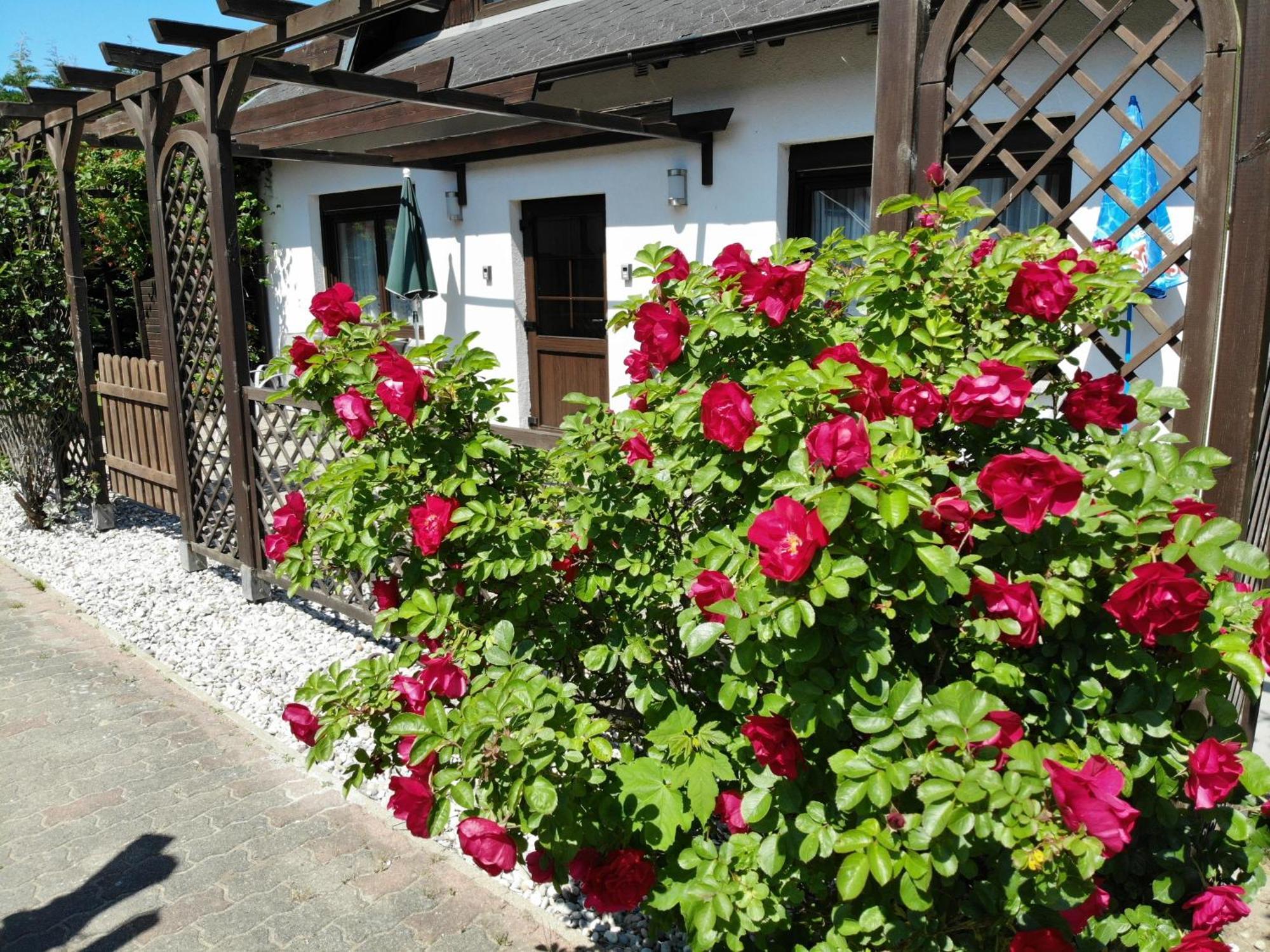 Ferienhaus Kress Rechts Sellin  Bagian luar foto